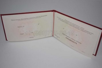 Диплом Кандидата Наук 2017г в Тюмени