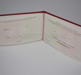 Диплом Кандидата Наук 2022г в Тюмени