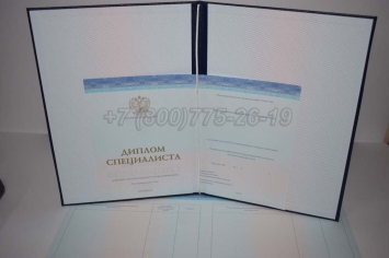 Диплом о Высшем Образовании 2024г СпецБланк в Тюмени