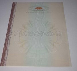 Академическая Справка ВУЗа 2022г в Тюмени