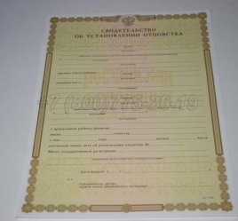 Свидетельство об Установлении Отцовства 2019г в Тюмени