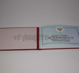 Аттестат Профессора 2023г в Тюмени