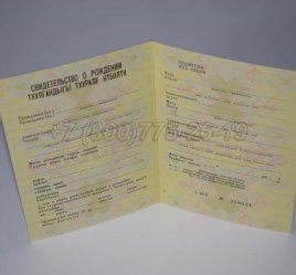 Свидетельство о Рождении 1984г Киргизской ССР в Тюмени