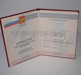 Аттестат За 11 Класс 2012г Серебро в Тюмени