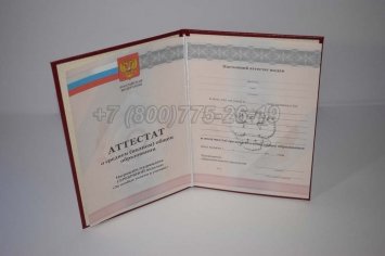 Аттестат За 11 Класс 2012г Серебро в Тюмени