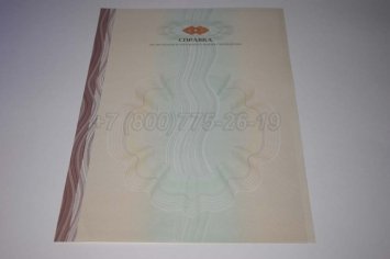 Академическая Справка ВУЗа 2020г в Тюмени