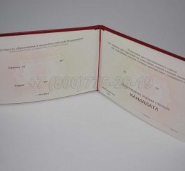 Диплом Кандидата Наук 2020г в Тюмени